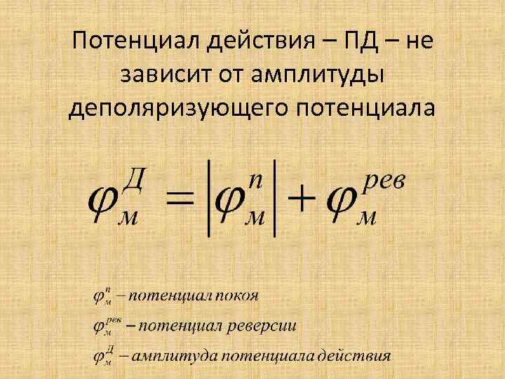 Потенциал действия – ПД – не зависит от амплитуды деполяризующего потенциала 
