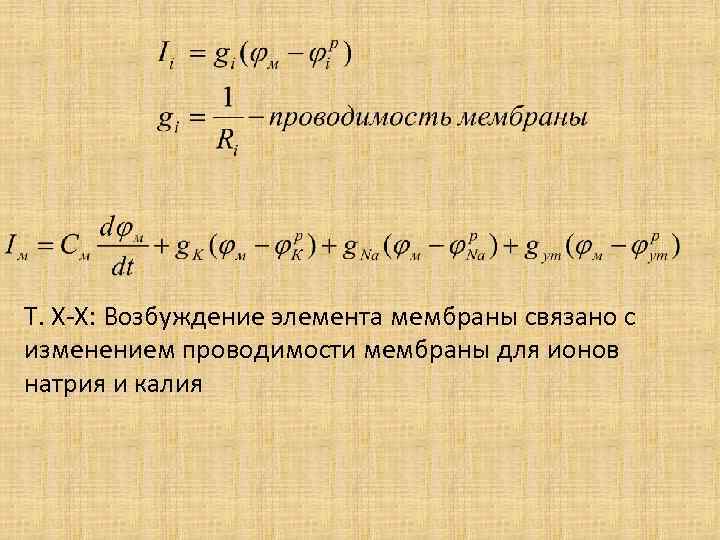 Т. Х-Х: Возбуждение элемента мембраны связано с изменением проводимости мембраны для ионов натрия и