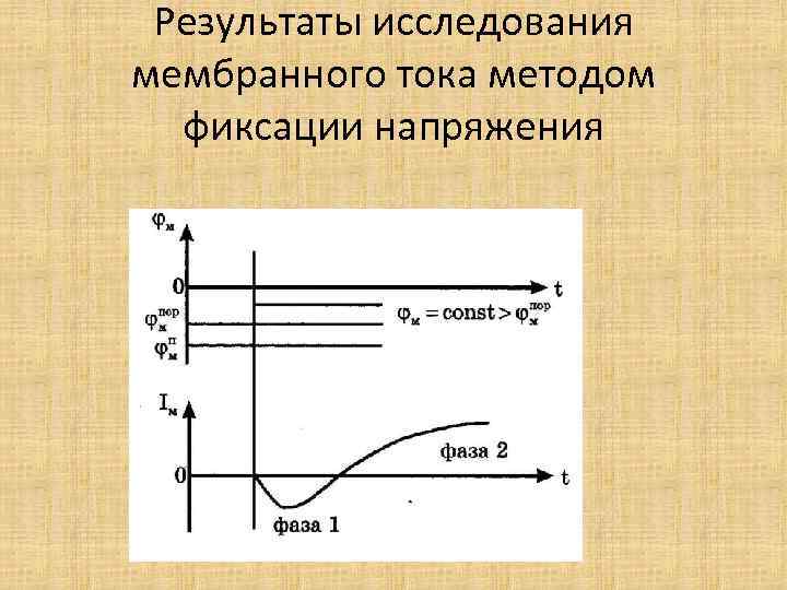 Результаты исследования мембранного тока методом фиксации напряжения 