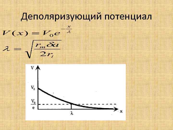 Деполяризующий потенциал 