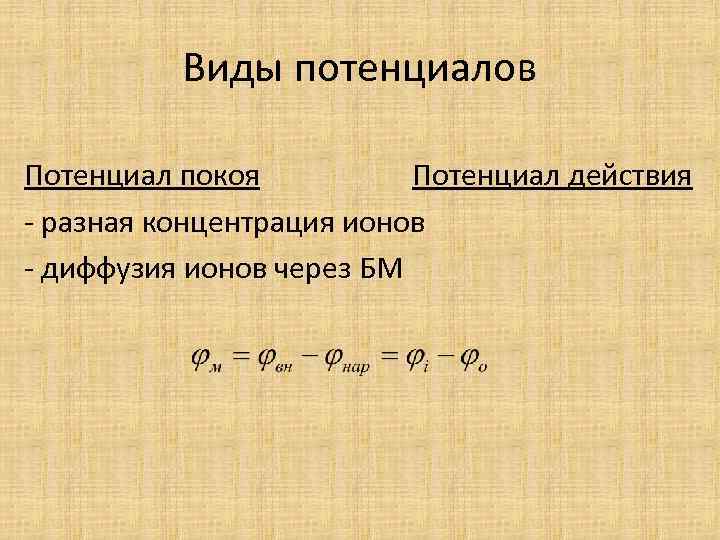 Виды потенциалов Потенциал покоя Потенциал действия - разная концентрация ионов - диффузия ионов через