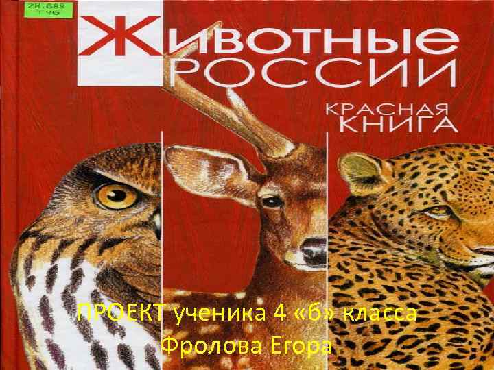 ПРОЕКТ ученика 4 «б» класса Фролова Егора 