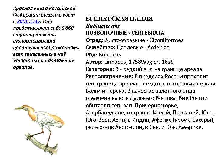 Красная книга Российской Федерации вышла в свет в 2001 году. Она представляет собой 860