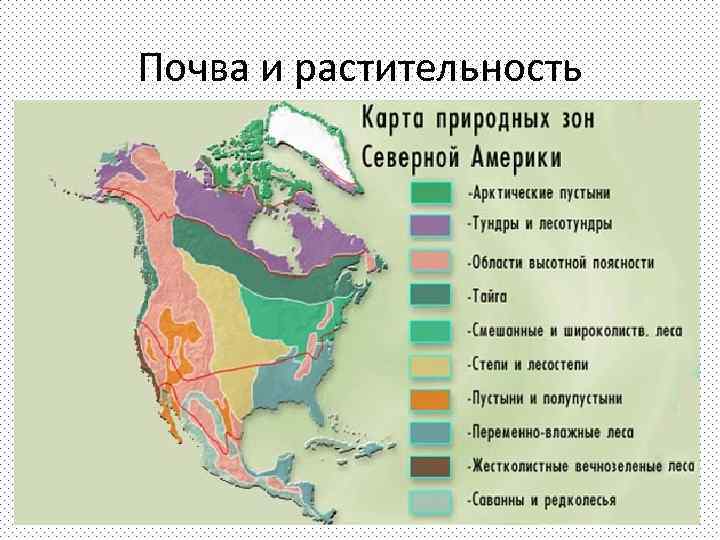 Почва и растительность 