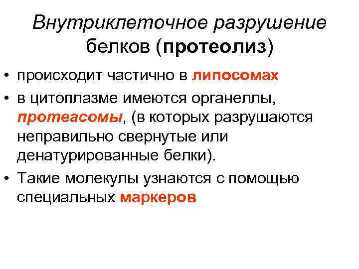 Разрушение белков. Протеолиз тканевых белков. Внутриклеточный протеолиз белков. Протеолиз белков биохимия. Внутриклеточный протеолиз биохимия.