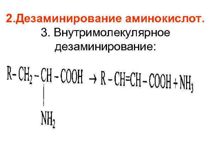 2. Дезаминирование аминокислот. 3. Внутримолекулярное дезаминирование: 