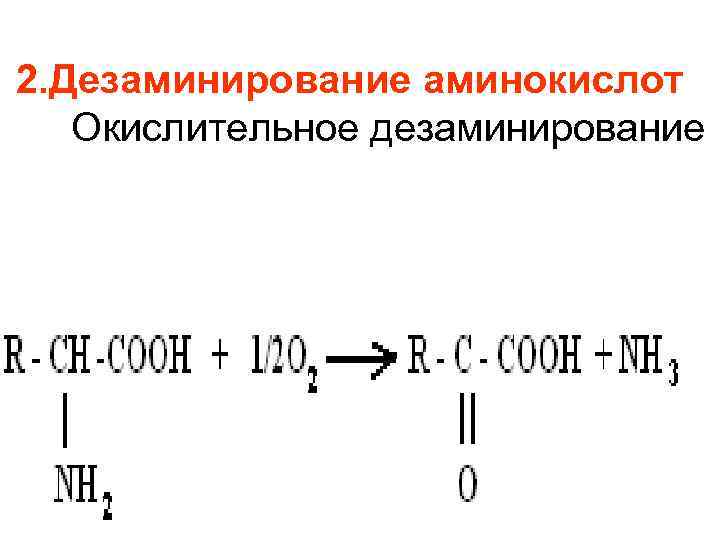 2. Дезаминирование аминокислот Окислительное дезаминирование 