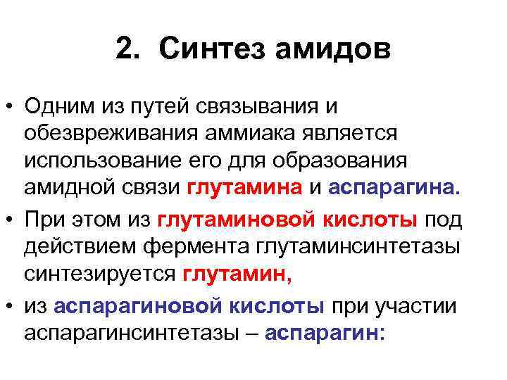 2. Синтез амидов • Одним из путей связывания и обезвреживания аммиака является использование его