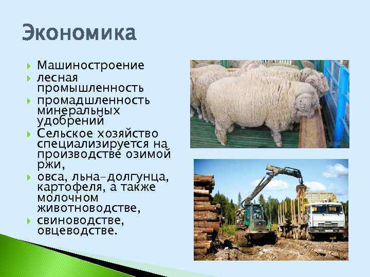 Экономика Машиностроение лесная промышленность промадшленность минеральных удобрений Сельское хозяйство специализируется на производстве озимой ржи,