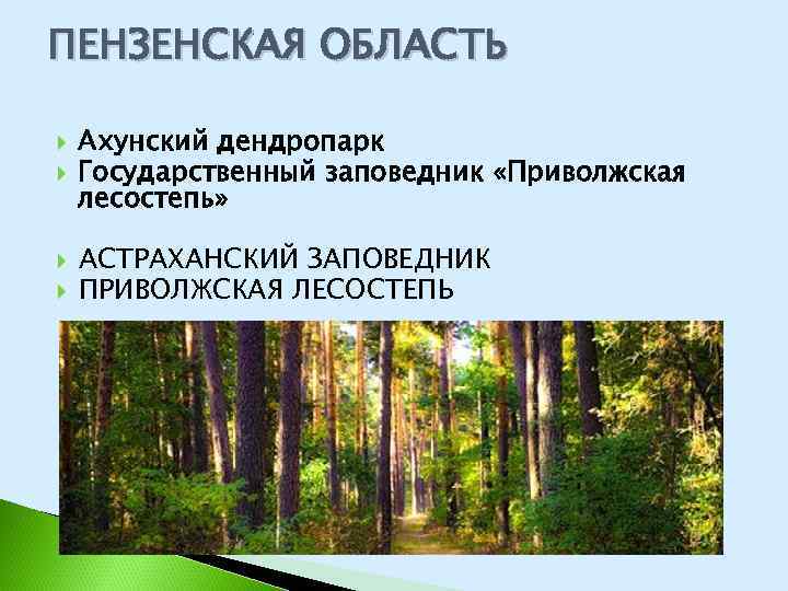 ПЕНЗЕНСКАЯ ОБЛАСТЬ Ахунский дендропарк Государственный заповедник «Приволжская лесостепь» АСТРАХАНСКИЙ ЗАПОВЕДНИК ПРИВОЛЖСКАЯ ЛЕСОСТЕПЬ 