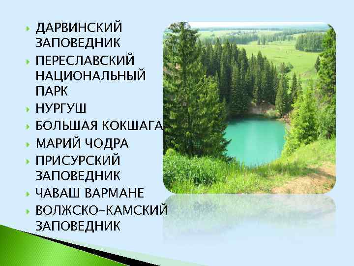 Рассказ о заповеднике 1 класс окружающий мир татарстана для детей с картинками