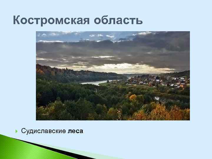 Костромская область Судиславские леса 