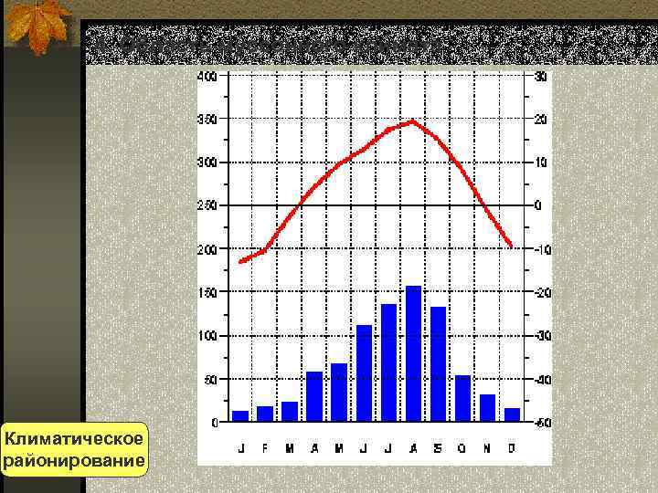 4. Область муссонного климата Климатическое районирование 