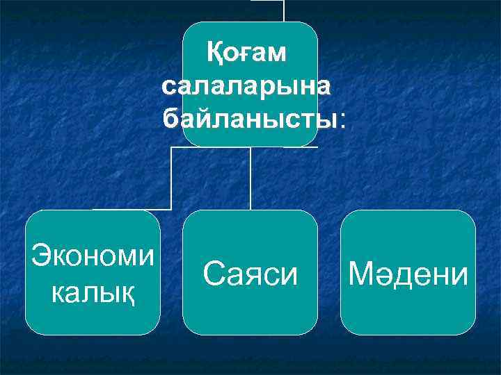 Қоғам салаларына байланысты: Экономи калық Саяси Мәдени 