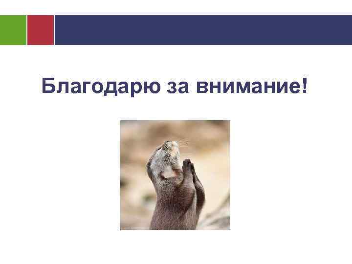 Благодарю за внимание! 