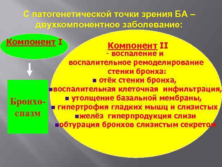 С патогенетической точки зрения БА – двухкомпонентное заболевание: Компонент I Бронхоспазм Компонент II -