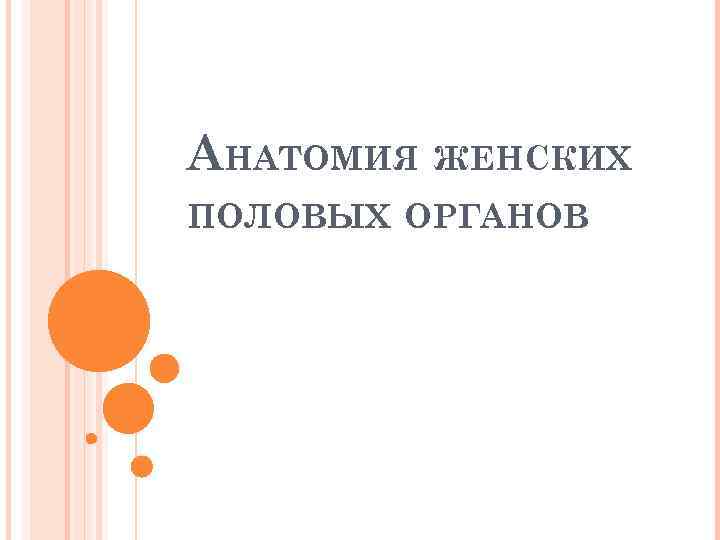 АНАТОМИЯ ЖЕНСКИХ ПОЛОВЫХ ОРГАНОВ 