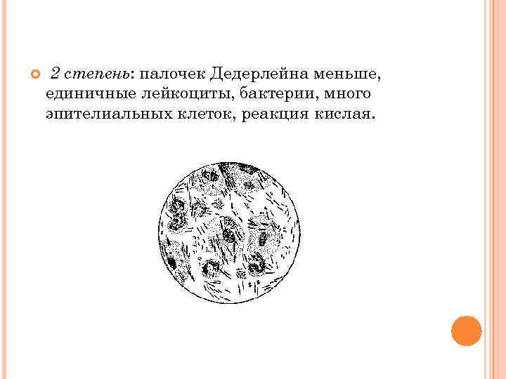  2 степень: палочек Дедерлейна меньше, единичные лейкоциты, бактерии, много эпителиальных клеток, реакция кислая.