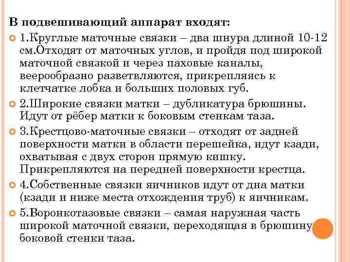 В подвешивающий аппарат входят: 1. Круглые маточные связки – два шнура длиной 10 -12