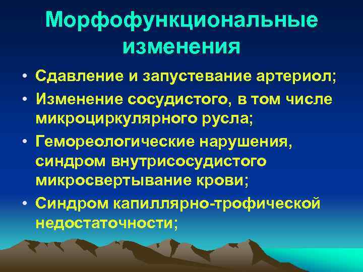 Морфо функциональные изменения организма