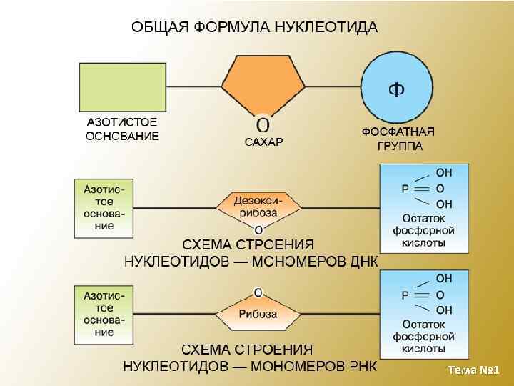 Тема № 1 