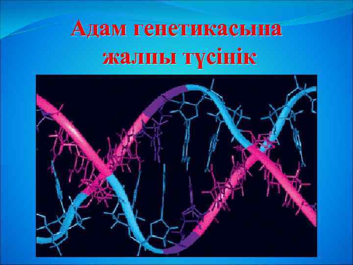 Адам генетикасына жалпы түсінік 