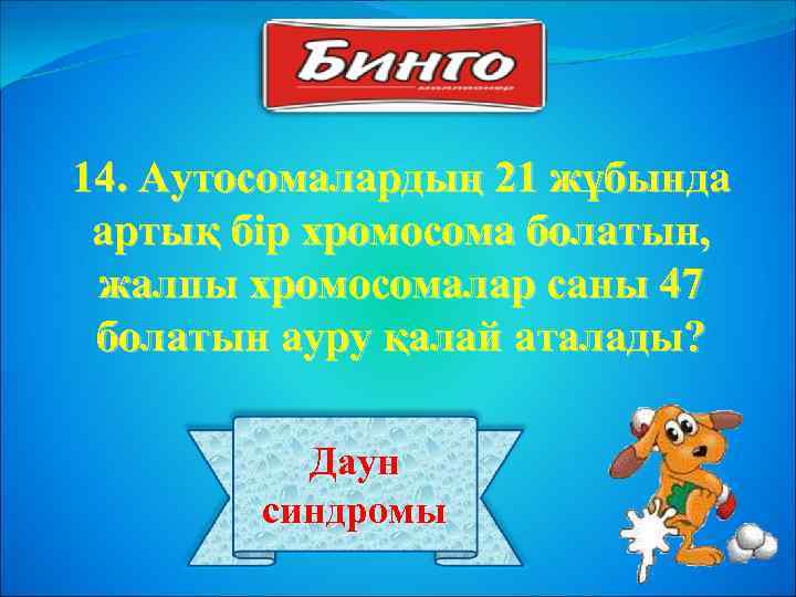 14. Аутосомалардың 21 жұбында артық бір хромосома болатын, жалпы хромосомалар саны 47 болатын ауру
