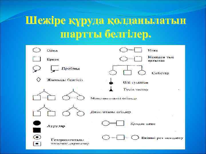 Шежіре құруда қолданылатын шартты белгілер. 
