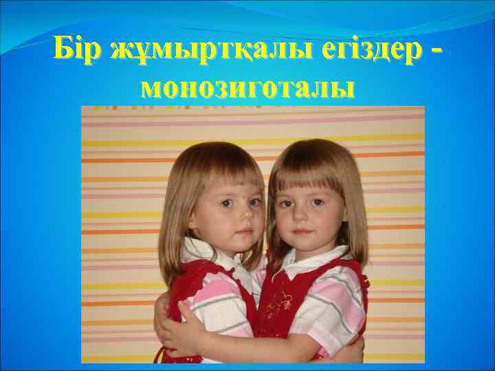 Бір жұмыртқалы егіздер монозиготалы 