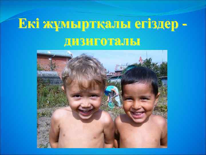 Екі жұмыртқалы егіздер дизиготалы 