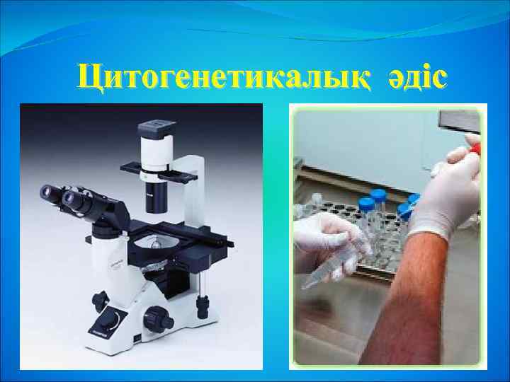 Цитогенетикалық әдіс 