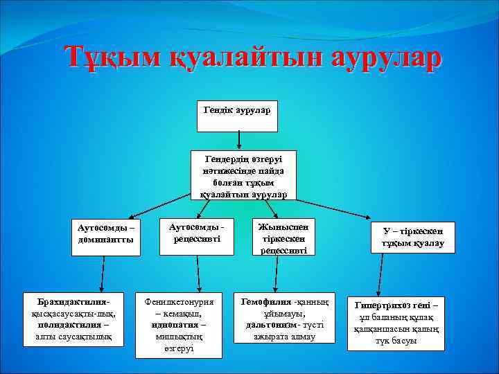 Тарих тағылымы деген тақырыпта ш мұртаза және ж бөдешұлы шығармашылықтарын қамтып презентация жасау