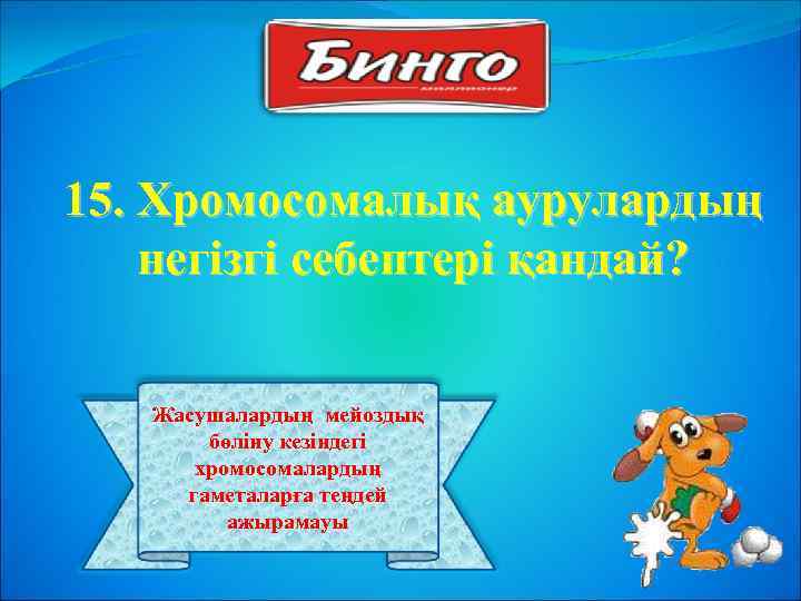 15. Хромосомалық аурулардың негізгі себептері қандай? Жасушалардың мейоздық бөліну кезіндегі хромосомалардың гаметаларға теңдей ажырамауы