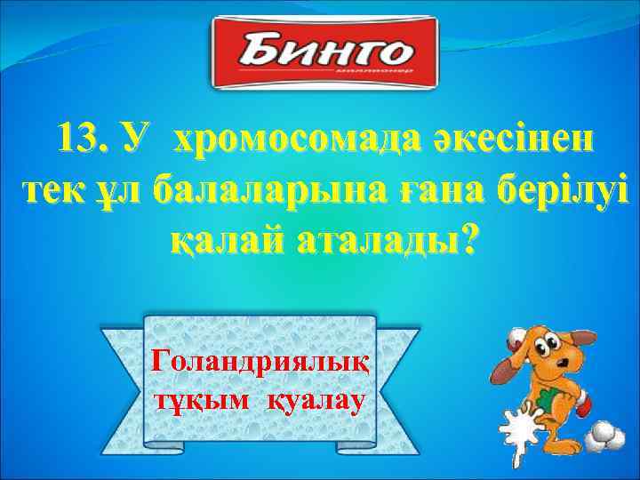 13. У хромосомада әкесінен тек ұл балаларына ғана берілуі қалай аталады? Голандриялық тұқым қуалау