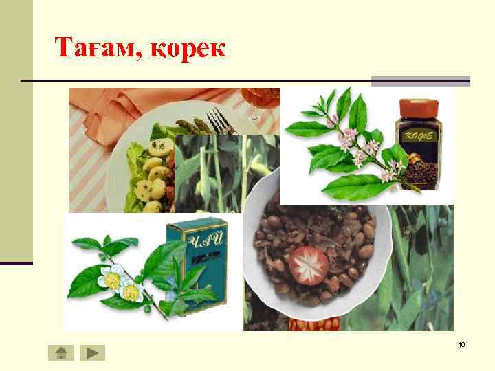 Тағам, қорек 10 