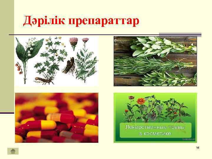 Дәрілік препараттар 14 