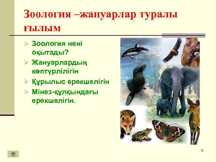 Виды зоологов. Зоология презентация. Зоология слайд. Зоология биология презентация. Зоология для детей.