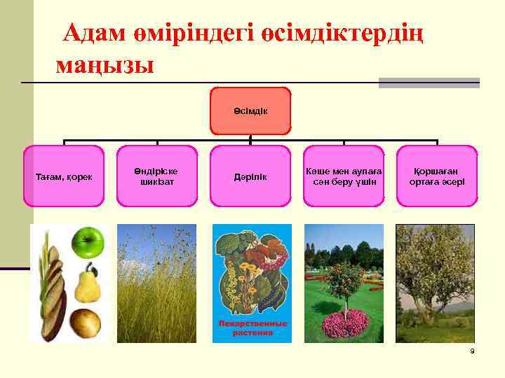 Мен тұратын көше технологиялық карта