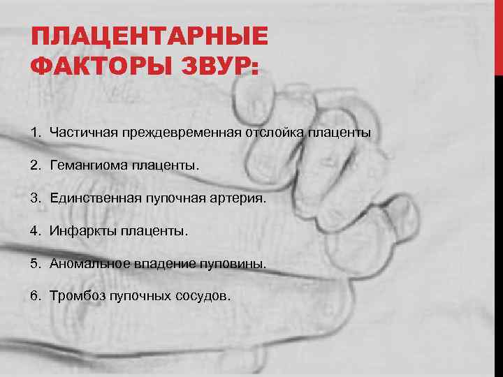 ПЛАЦЕНТАРНЫЕ ФАКТОРЫ ЗВУР: 1. Частичная преждевременная отслойка плаценты 2. Гемангиома плаценты. 3. Единственная пупочная