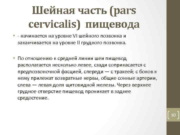 Шейная часть (pars cervicalis) пищевода • начинается на уровне VI шейного позвонка и заканчивается