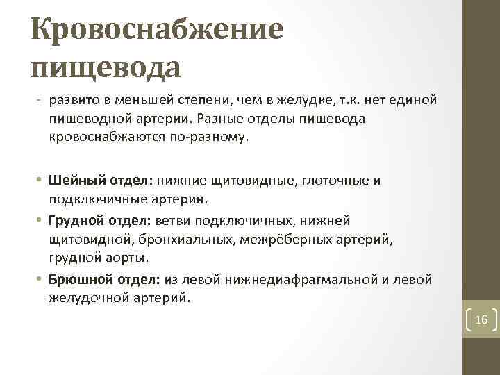 Кровоснабжение пищевода развито в меньшей степени, чем в желудке, т. к. нет единой пищеводной