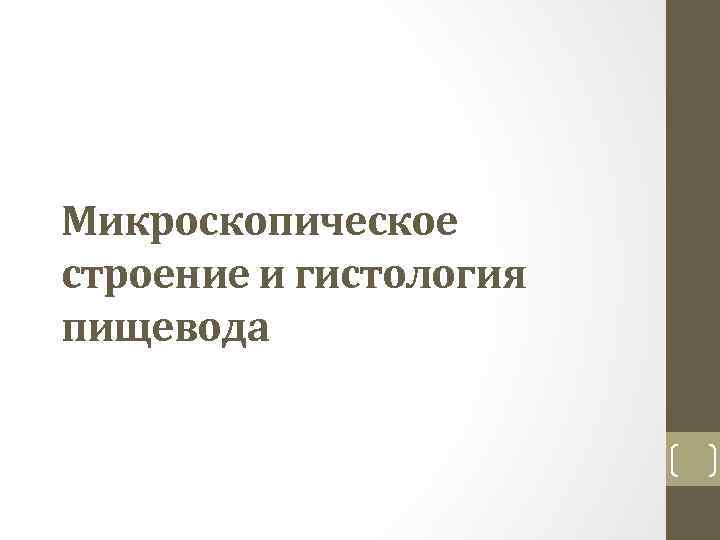 Микроскопическое строение и гистология пищевода 