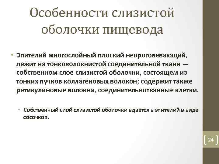 Особенности слизистой оболочки пищевода • Эпителий многослойный плоский неороговевающий, лежит на тонковолокнистой соединительной ткани