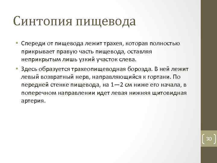 Синтопия пищевода • Спереди от пищевода лежит трахея, которая полностью прикрывает правую часть пищевода,