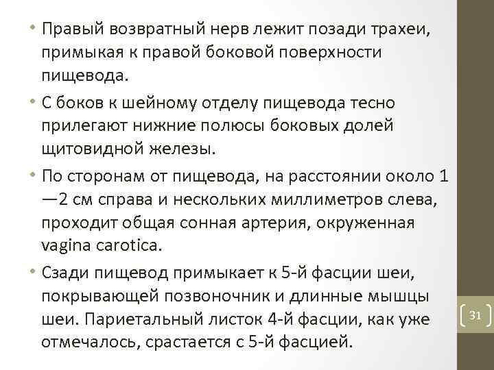  • Правый возвратный нерв лежит позади трахеи, примыкая к правой боковой поверхности пищевода.