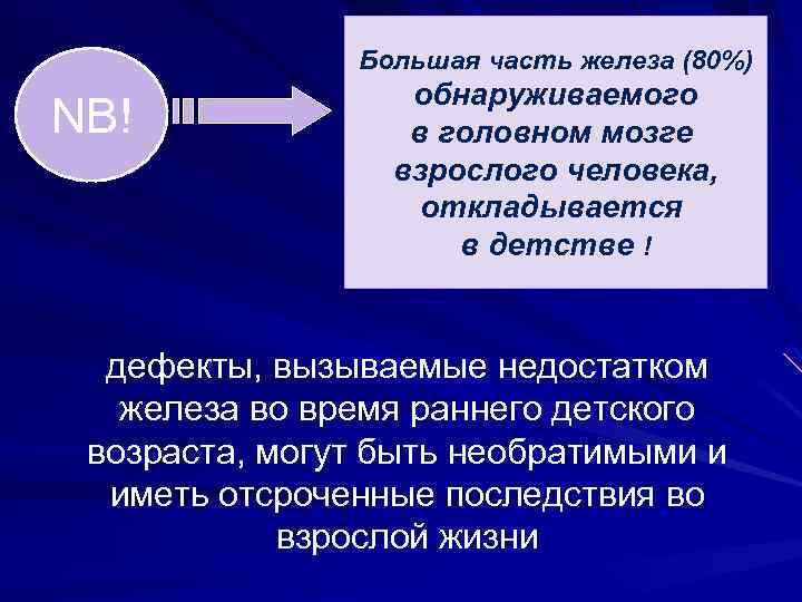 Большая часть железа (80%) NB! обнаруживаемого в головном мозге взрослого человека, откладывается в детстве