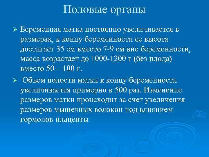 Половые органы Беременная матка постоянно увеличивается в размерах, к концу беременности ее высота достигает