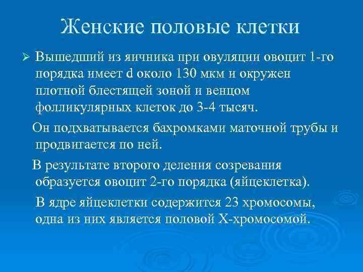 Женские половые клетки Ø Вышедший из яичника при овуляции овоцит 1 -го порядка имеет