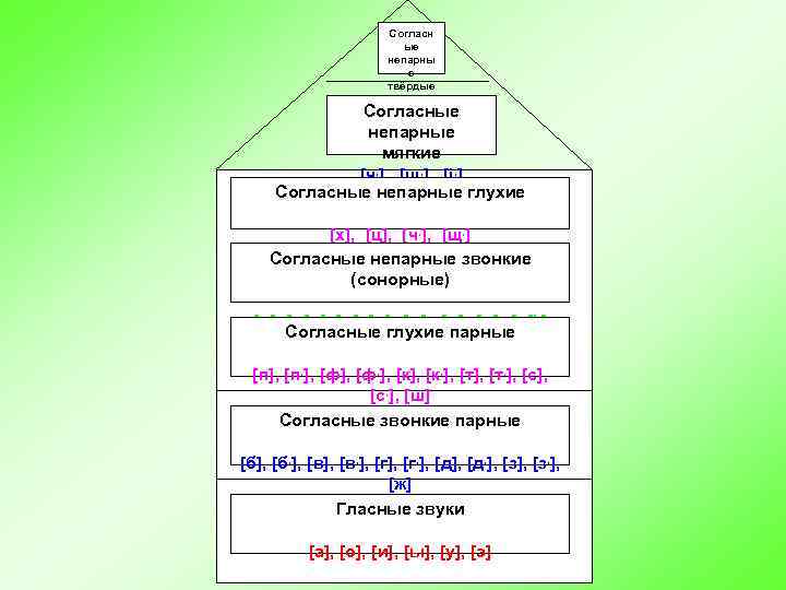 Согласн ые непарны е твёрдые [ж], [ш], Cогласные [ц] непарные мягкие , ], [щ,