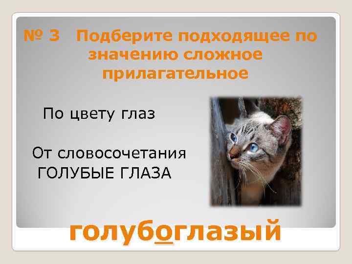 № 3 Подберите подходящее по значению сложное прилагательное По цвету глаз От словосочетания ГОЛУБЫЕ